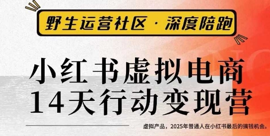 小红书虚拟电商14天变现训练营3.0，​虚拟产品，2025年普通人在小红书最后的搞钱机会-hcnxn