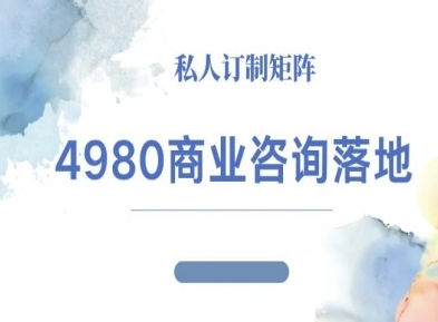 4980商业咨询师落地课程-ip运营高客单教程-hcnxn