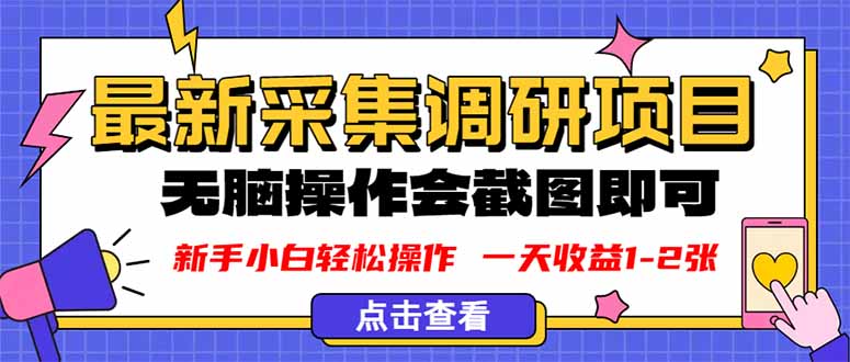 新版采集调研项目，截图上传即可，无脑操作，日收益1-2张-hcnxn