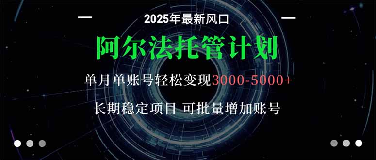 阿尔法托管计划 单账号月入3000-5000，长期稳定项目，新手小白轻松上手。-hcnxn