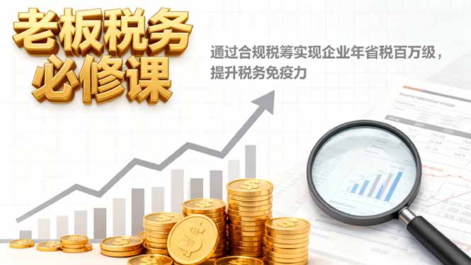 老板税务必修课，通过合规税筹实现企业年省税百万级，提升税务免疫力-hcnxn