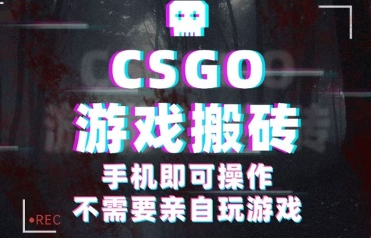 CSGO游戏挂G捡漏，单日扫货5张+，年底小高峰上车可吃肉，手机即可操作，兼职副业创业网创【揭秘】-hcnxn