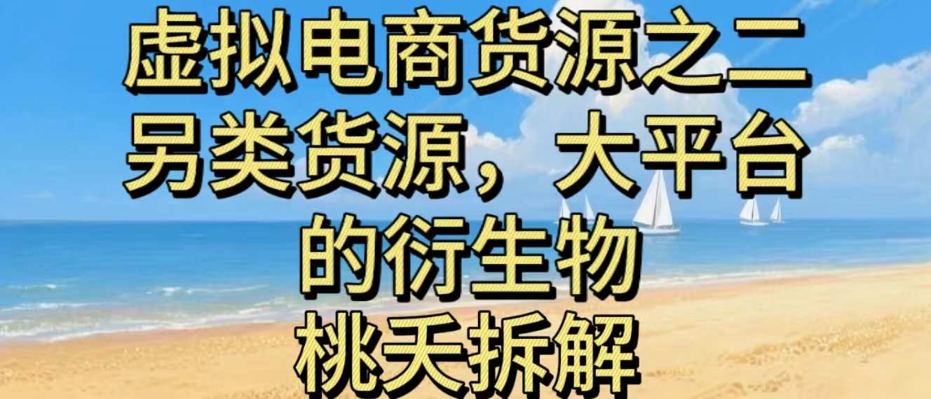 虚拟电商之二—另类的货源，大平台的衍生物-hcnxn