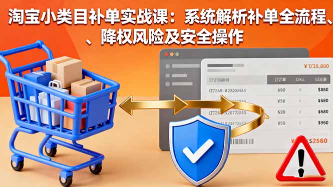 淘宝小类目补单实战课：系统解析补单全流程、降权风险及安全操作-hcnxn