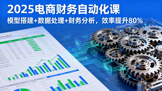2025电商财务自动化课，模型搭建+数据处理+财务分析，效率提升80%-hcnxn