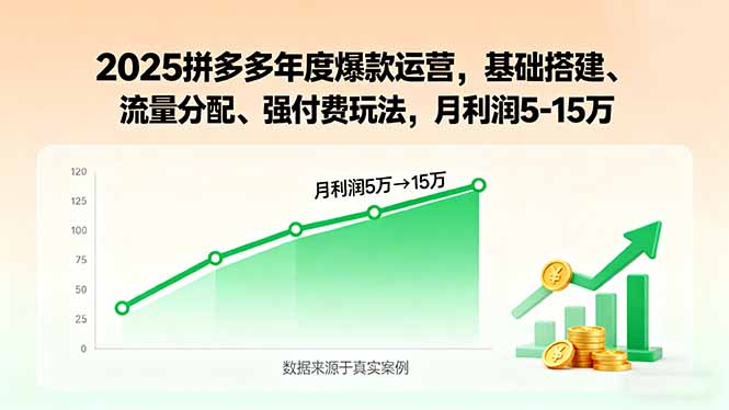 2025拼多多年度爆款运营，基础搭建、流量分配、强付费玩法，月利润5-15万-hcnxn