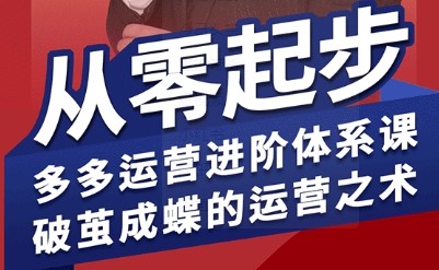 拼多多运营进阶系统课，从零起步，多多运营进阶体系课，破茧成蝶的运营之术(更新9月)-hcnxn