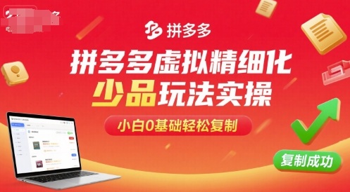 拼多多虚拟精细化少品玩法实操，小白0基础轻松复制-hcnxn