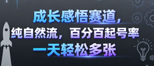 成长感悟赛道，纯自然流，百分百起号率 一天轻松多张-hcnxn