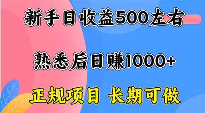 新手日收益500+ 正规项目 长期可做-hcnxn