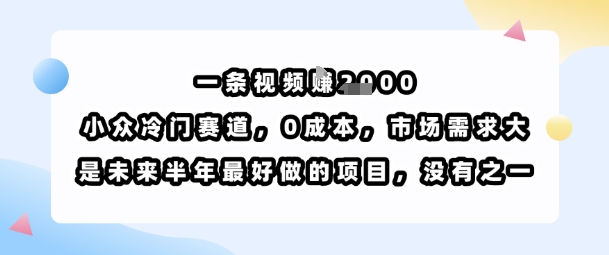 一条视频挣1k，小众冷门赛道，0成本，市场需求大，是未来半年最好做的项目，没有之一-hcnxn