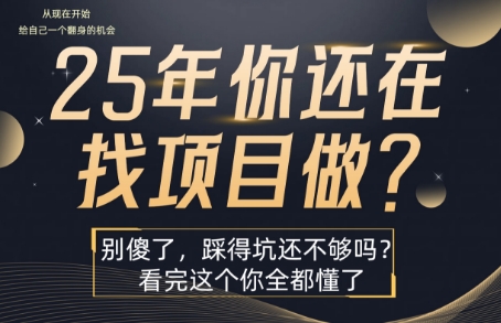 25年，你还在疯狂的找项目吗？别傻了，看完这个你都懂了【揭秘】-hcnxn