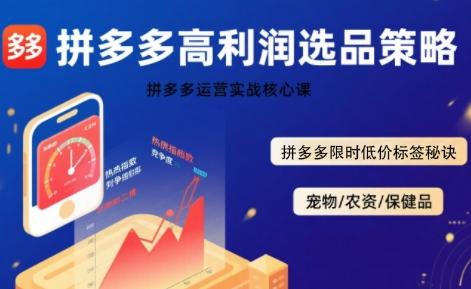 拼多多选品暴利技术实战课，拼多多高利润选品策略，拼多多限时低价标签秘诀-hcnxn