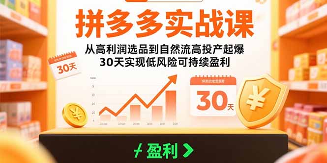 拼多多实战课：从高利润选品到自然流高投产起爆 30天实现低风险可持续盈利-hcnxn