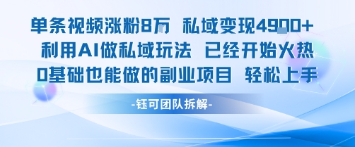 单条视频私域变现4.9k+利用AI做私域玩法 已经开始火热0基础也能做的副业项目轻松上手-hcnxn