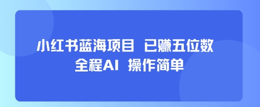 小红书蓝海项目，全程AI，操作简单，已挣五位数-hcnxn