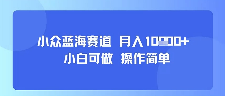 小众蓝海赛道，小白可做，操作简单，每天30分钟，月入1W+-hcnxn