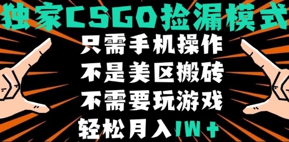 CSGO自动捡漏项目，最新独家玩法，不是美区搬砖，不需要了解和玩游戏，新手小白轻松月入1W+【揭秘】-hcnxn