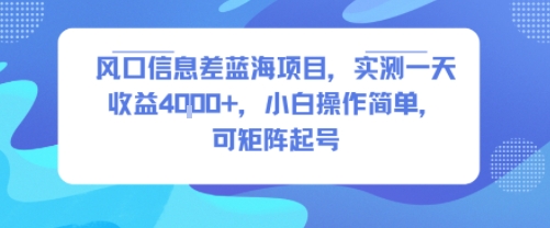 风口信息差蓝海项目，实测一天收益4k+，小白操作简单，可矩阵起号-hcnxn