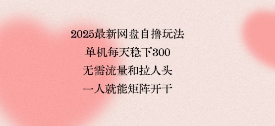 2025最新网盘自撸玩法，单机每天稳下3张，无需流量和拉人头，一个人就可轻松矩阵，全网独一份【揭秘】-hcnxn