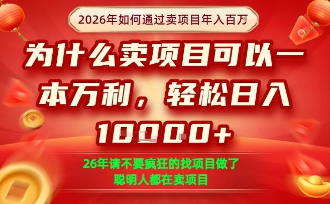 一单净利润1K+，26年想年入100个W，死磕卖项目就够了【揭秘】-hcnxn