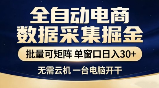 独家电商数据全自动采集项目，批量可矩阵，单窗口轻松日入3张+【揭秘】-hcnxn