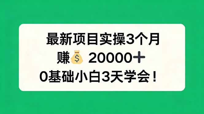 最新项目实操3个月，赚钱20000+，0基础小白3天学会！-hcnxn