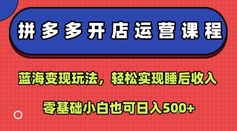 拼多多开店运营课程：蓝海变现玩法，轻松实现睡后收入，零基础小白也可日入5张-hcnxn