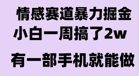 情感暴力掘金项目，新人操作一周挣了2W，长期稳定小白可做【揭秘】-hcnxn