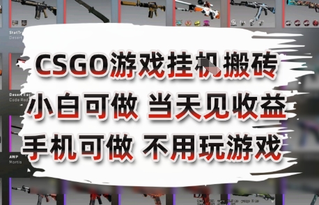 CSGO游戏挂G搬砖，小白纯手机即可操作，不用电脑打游戏，日入3张+，副业网创项目【揭秘】-hcnxn