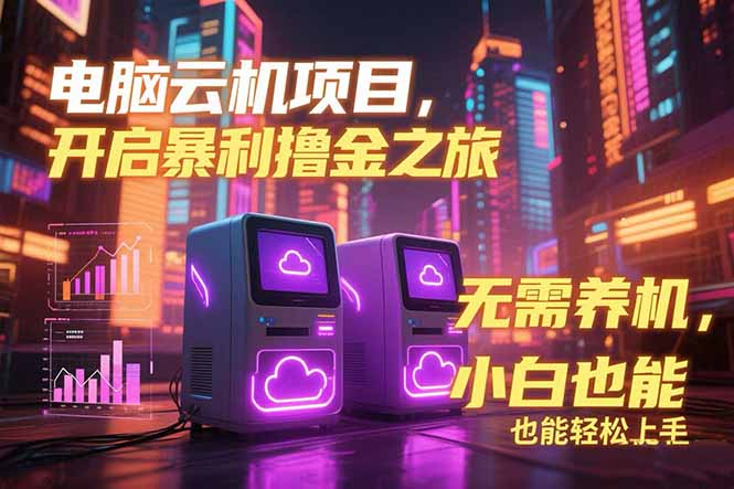 电脑云机项目 暴力撸金玩法，不需要养机 配置没有要求 单机100个窗口一...-hcnxn