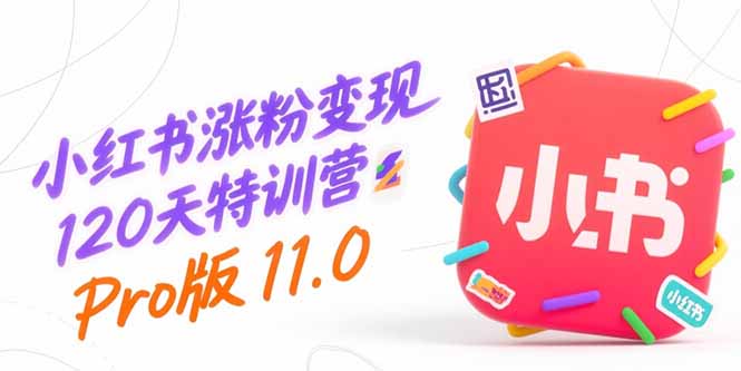 小红书涨粉变现120天特训营Pro版11.0：从0到1掌握平台运营,内容制作和变现-hcnxn