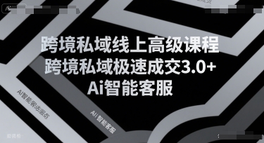 跨境私域线上高级课程，跨境私域极速成交3.0+Ai智能客服-hcnxn
