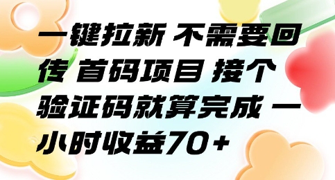 一键拉新 不需要回传 首码项目 接个验证码就算完成 一小时收益70+【揭秘】-hcnxn