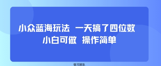 小众蓝海玩法 一天搞了四位数 小白可做 操作简单-hcnxn