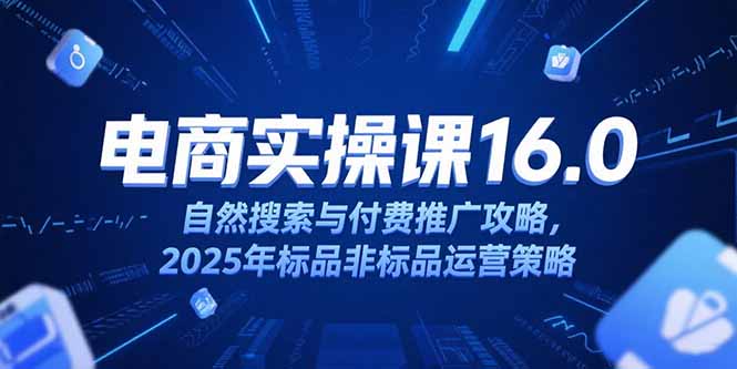 淘宝电商运营课16.0，自然搜索与付费推广攻略，2025年标品非标品运营策略-hcnxn