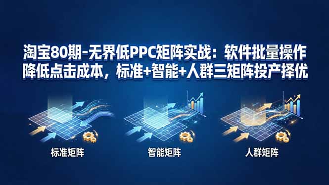 淘宝80期-无界低PPC矩阵实战：软件批量操作降低点击成本，标准+智能+人群三矩阵投产择优-hcnxn