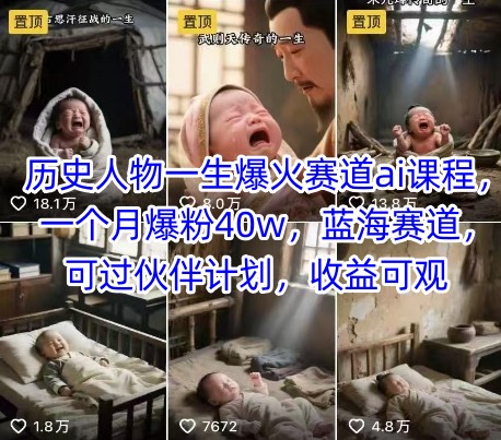 历史人物一生爆火赛道ai课程，一个月爆粉40w，蓝海赛道，可过伙伴计划，收益可观-hcnxn