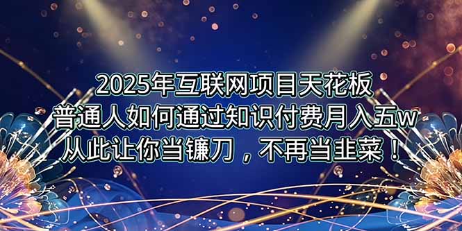 2025年互联网项目天花板，普通人如何通过卖项目实现逆风翻盘，月入5W＋！-hcnxn