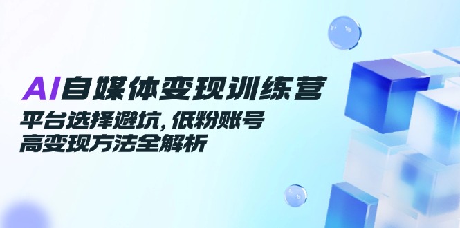 AI自媒体变现训练营，平台选择避坑，低粉账号高变现方法全解析-hcnxn