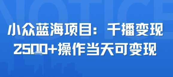小众蓝海项目，千播变现2.5k+操作当天可变现-hcnxn