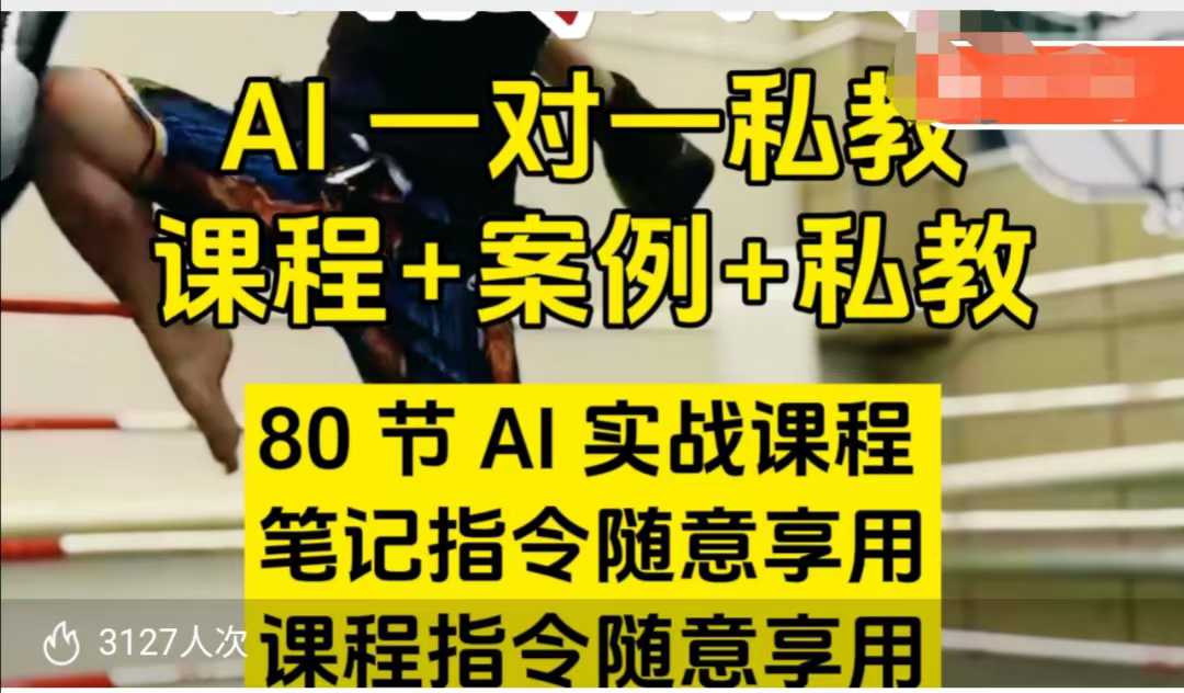AI指令实战课，课程+案例，80节AI实战课程，笔记指令随意享用，课程指令随意享用(更新7月)-hcnxn