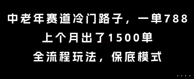 中老年赛道冷门路子，一单788，上个月出了1500单，全流程玩法，保底模式【揭秘】-hcnxn