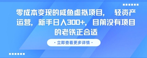 零成本变现的咸鱼虚拟项目， 轻资产运营，新手日入3张+，目前没有项目的老铁正合适-hcnxn
