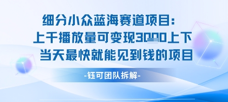 小众蓝海赛道项目：当天变现1k+适合新手操作 +适合长期玩-hcnxn