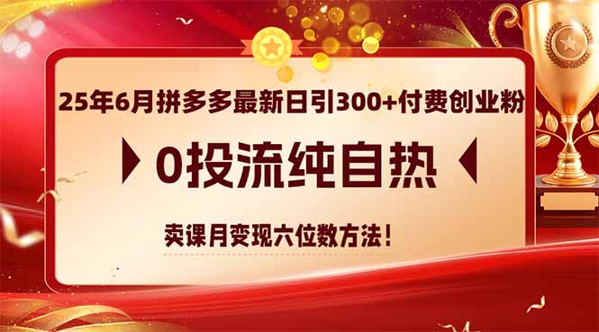 25年6月拼多多最新日引300+付费创业粉，0投流纯自热 卖课月变现六位数方法-hcnxn