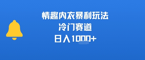 情趣内衣暴利玩法，冷门赛道，日入1k+-hcnxn