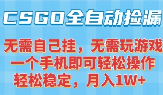 CSGO自动捡漏项目，最新独家玩法，一个手机可操作，新手小白轻松月入1W+，操作简单易上手【揭秘】-hcnxn