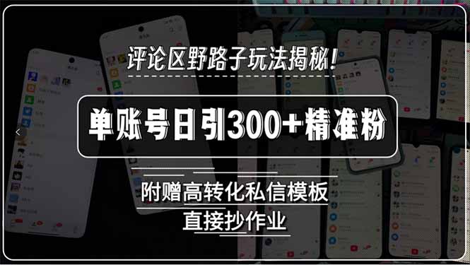 评论区野路子玩法揭秘！单账号日引300+精准粉，附赠高转化私信模板，直...-hcnxn