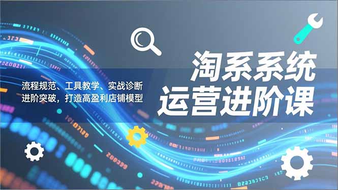 淘系系统运营进阶课2.0，流程规范、工具教学、实战诊断，进阶突破，打造高盈利店铺模型-hcnxn